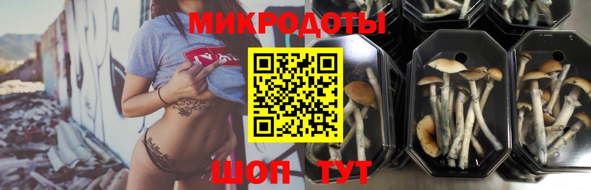 Петрозаводск  Галлюциногенные грибы MAGIC MUSHROOMS  Вход с VPN 